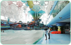 永利集团·304am(中国游)官方网站