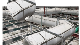 永利集团·304am(中国游)官方网站